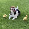 thesqueak7