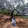 hahan_dadan