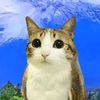 user130zz74629ms38