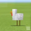 zekt34