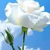 zainab74783
