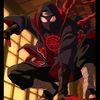 legacy_zoldyck1214