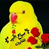 rpw194
