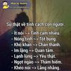 trieuhoangdatdat