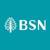 BSN