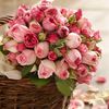 flower0595