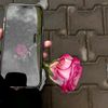 _zeze_11