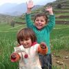 wahidgul8776