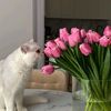 elliiiiiid_12
