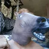 kostik.99