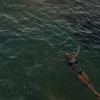 josie_sdn