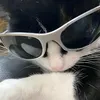 r5nzyy00