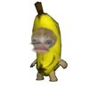 alirezaanf