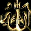 dy7w7olmitfm