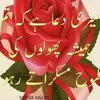 muhammadzahoor275
