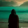 hjb_vhd