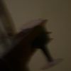 lorycat22