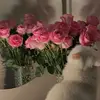 noor5684