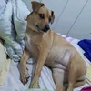 suzyejolie