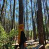 lia_aprilia90