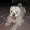 mauchibnb