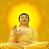 dodinhhuan0816gmail.com1