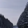 hnidnik