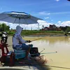mottiahyvong