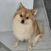 _rrrpp