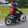 penunggu_istana_101
