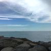 hengyu_thex2565