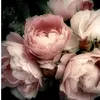 leilaboula