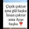 m_bozyu