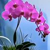 www.tiktok.comnoer