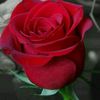 راحه نفسيه 🌹
