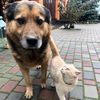 evgeniy_014