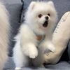 allyhuang0712