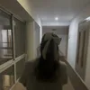 ellii4443