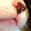 yuta_yuta_1030