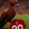 hagigunners7