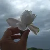 lilylynmayloveyou