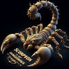 scorpio.rana