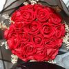 melekruh33