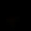nicolas.cruz244