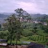 rixyan_ditya