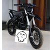 bactiarr_02