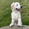 keelies_mom