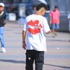 ___omar___18