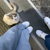 hj_vib