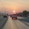 mshal.2366